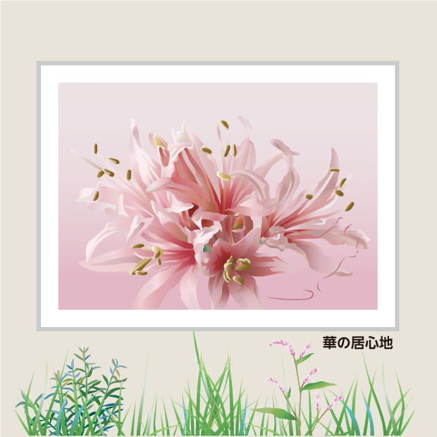 花と猫：華の居心地