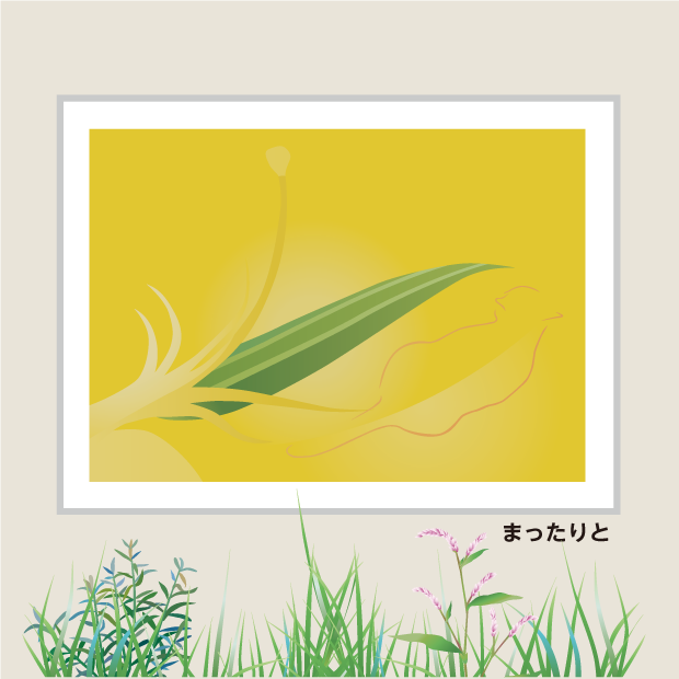 花と猫：まったりと