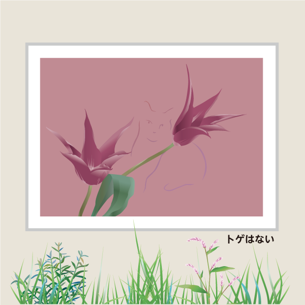 花と猫：トゲはない