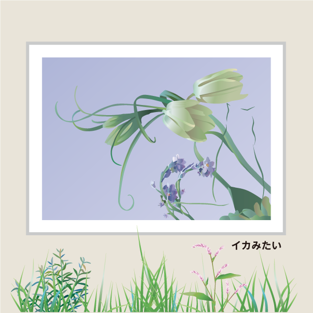 花と猫：イカみたい