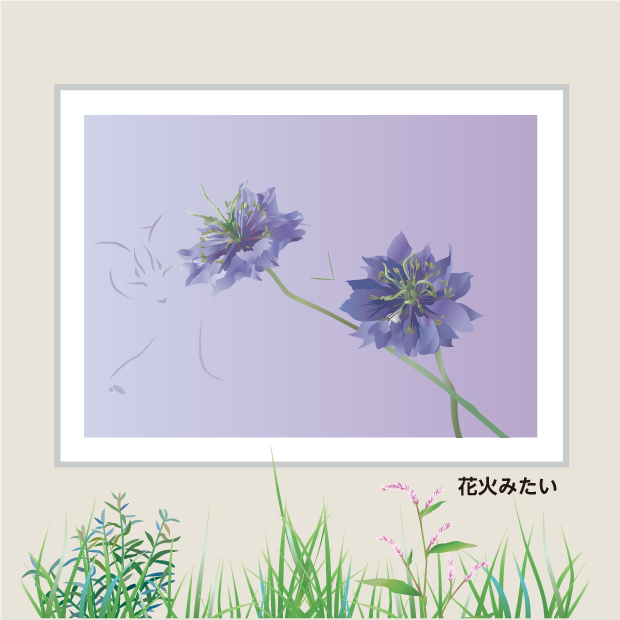 花と猫：花火みたい